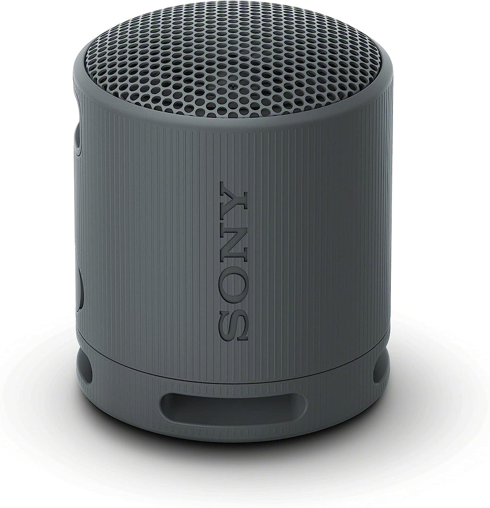 Sony SRS-XB100 Portable Wireless Speaker black